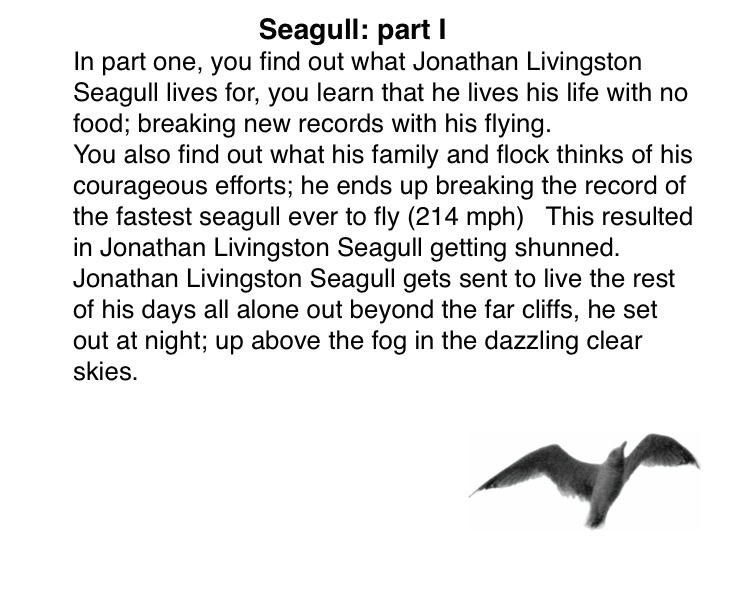jonathan livingston seagull question